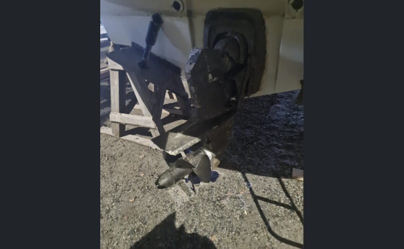 Bella Falcon 26-kuva-5